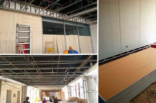 APEC蓝天下的室内健康守护 龙牌净醛石膏板